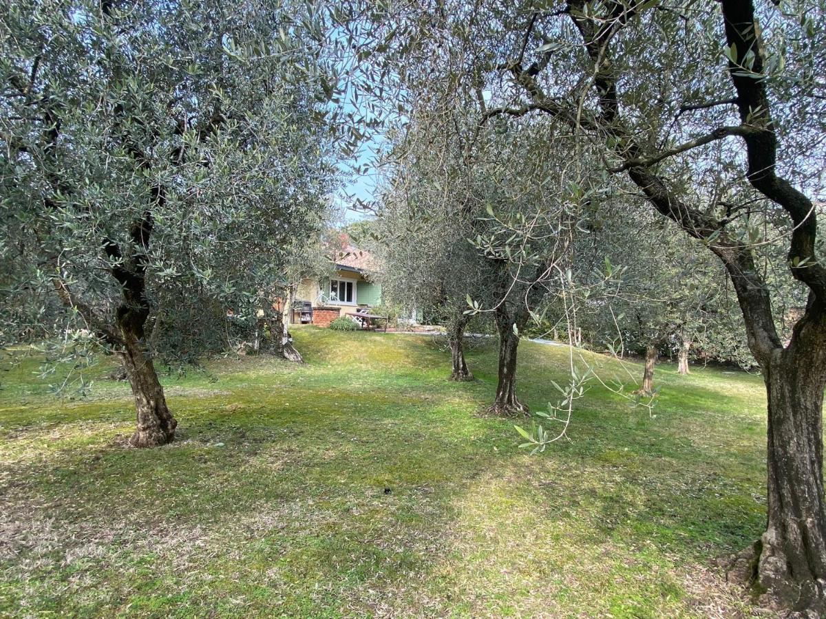 Villa Sweet Flower - With Private Pool And Garden Manerba del Garda Dış mekan fotoğraf
