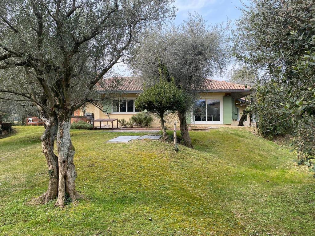 Villa Sweet Flower - With Private Pool And Garden Manerba del Garda Dış mekan fotoğraf