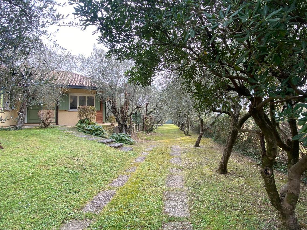 Villa Sweet Flower - With Private Pool And Garden Manerba del Garda Dış mekan fotoğraf