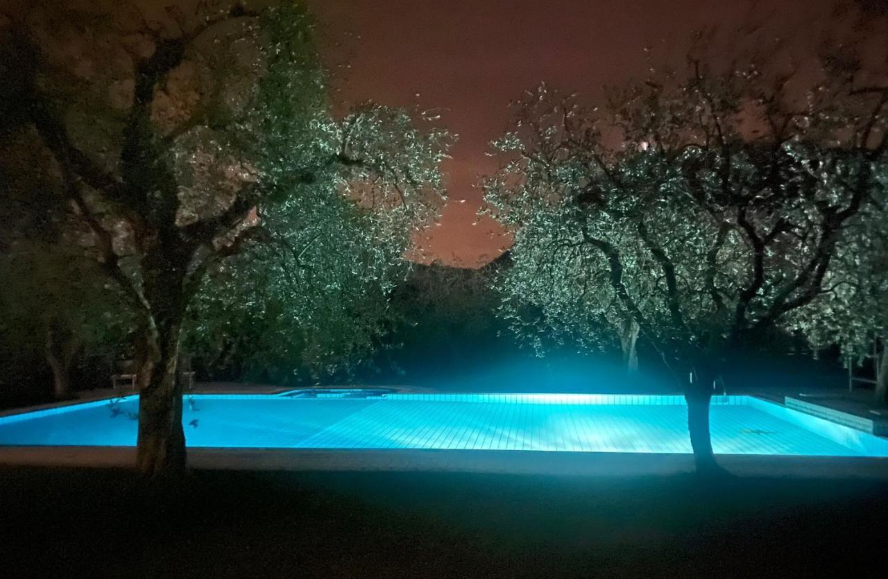 Villa Sweet Flower - With Private Pool And Garden Manerba del Garda Dış mekan fotoğraf